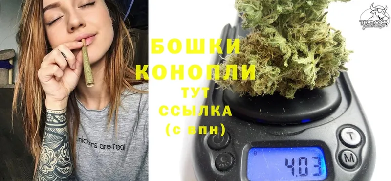 Конопля White Widow  Венёв 